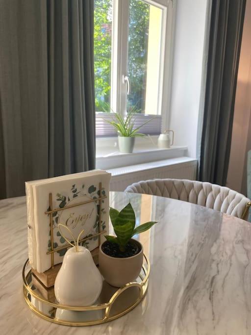 Modernes Mit Grosser Terrasse Apartament Drezno