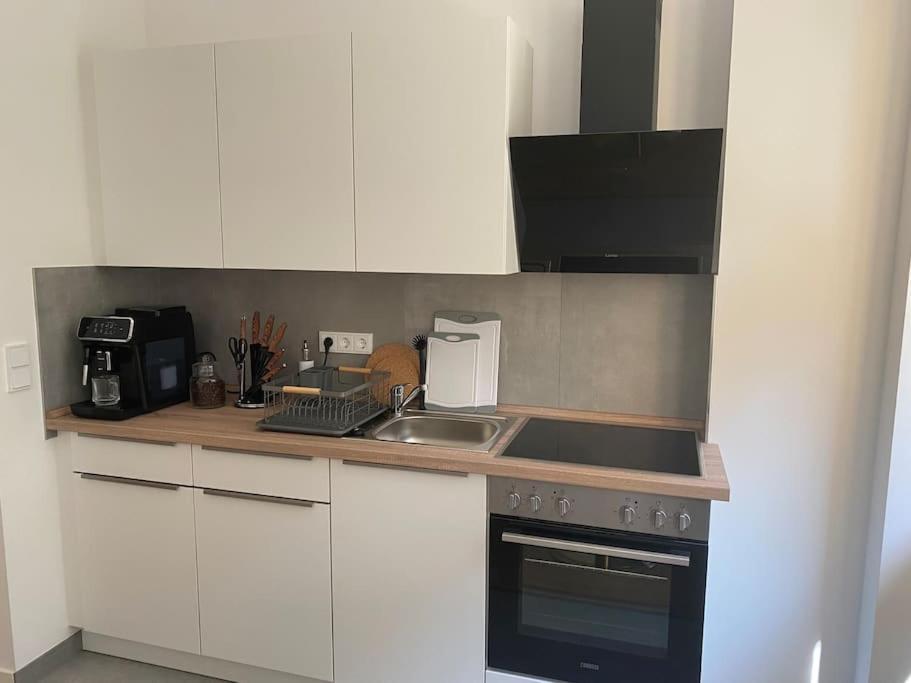 Apartment Modernes Mit Grosser Terrasse Dresden
